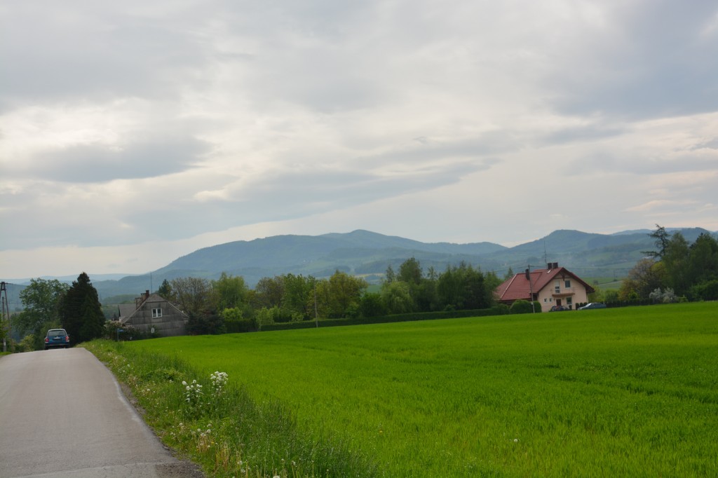 20130517_0931_DSC_2253-reduced30