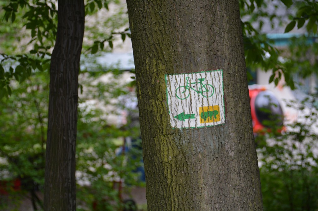 20130517_1628_DSC_2277-reduced30