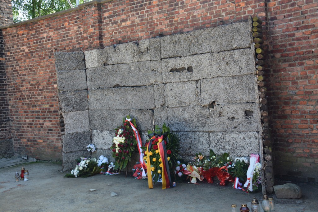 20130519_1048_DSC_2359-reduced30