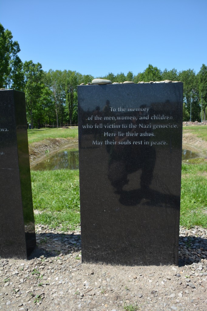 20130519_1206_DSC_2378-reduced30