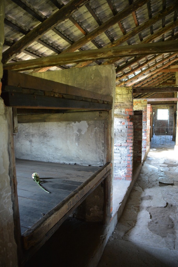 20130519_1210_DSC_2385-reduced30