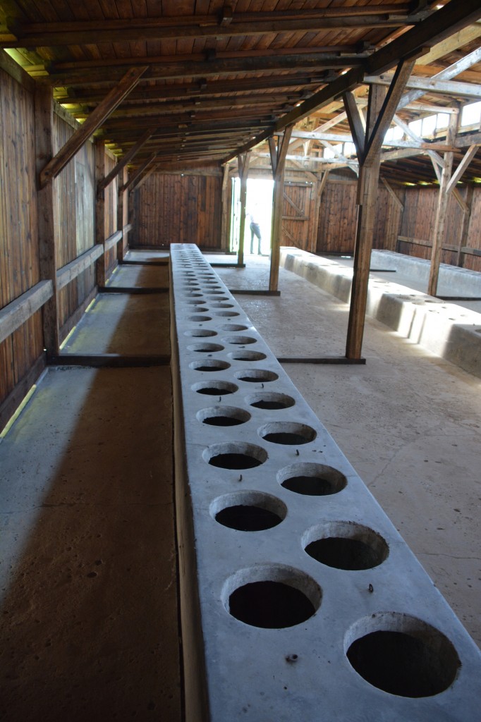 20130519_1232_DSC_2400-reduced30