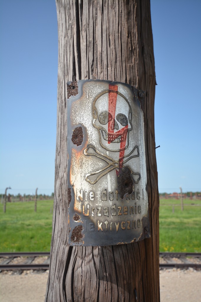 20130519_1520_DSC_2451-reduced30