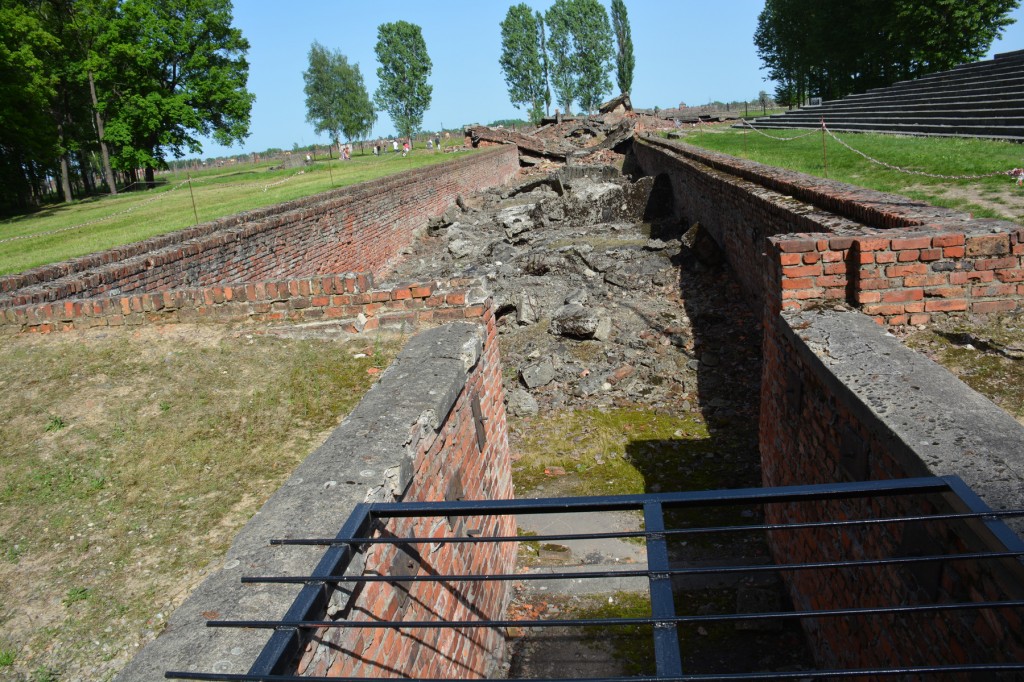 20130519_1545_DSC_2480-reduced30