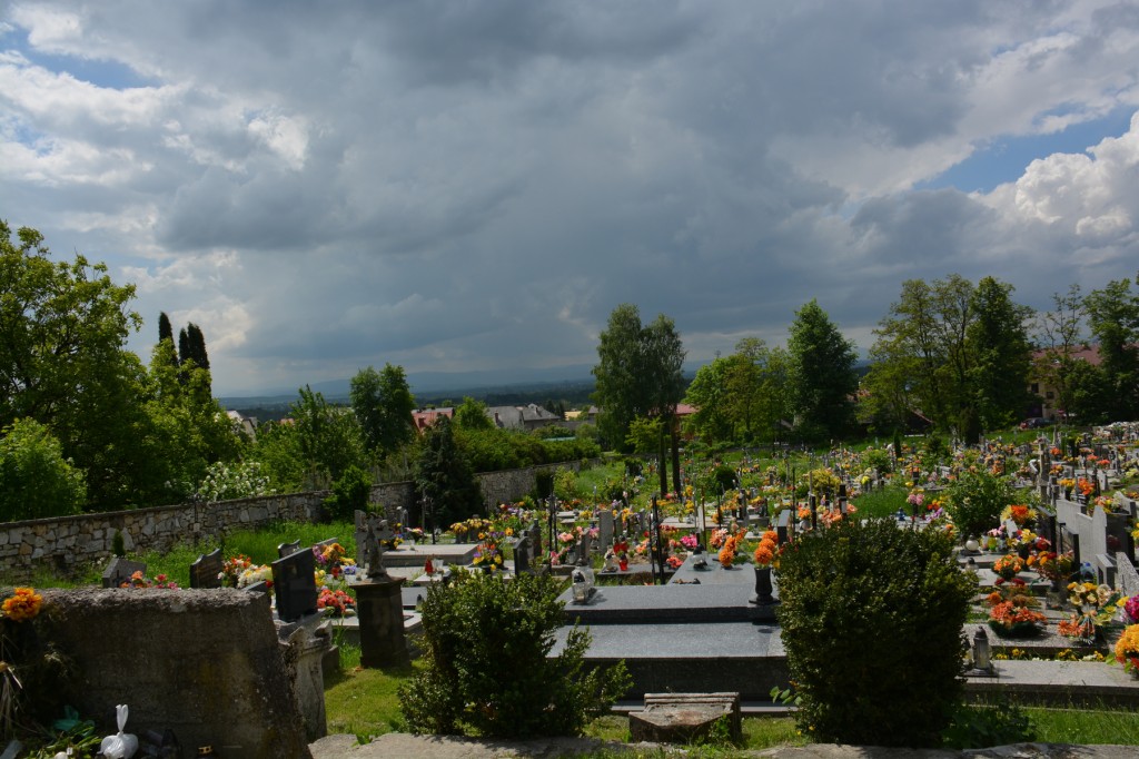 20130520_1125_DSC_2501-reduced30