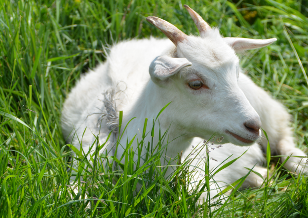 20130607_1221_DSC_3398-edited