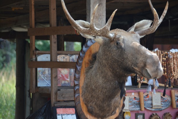 20130711_1248_DSC_4999-reduced30